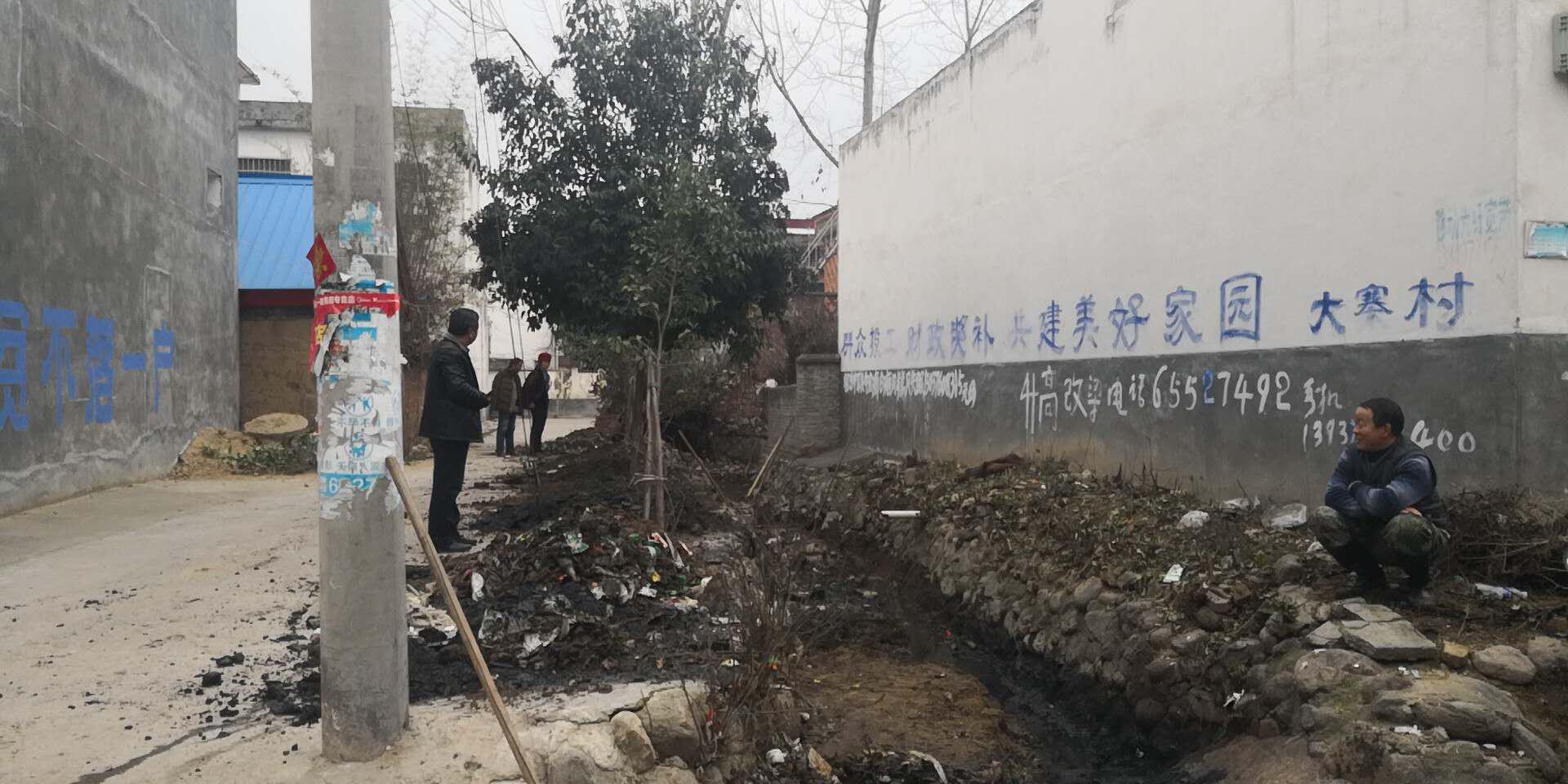 图片3