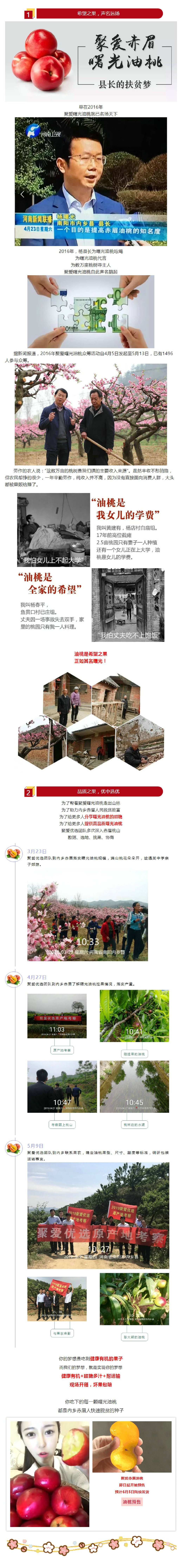 内乡政府网_副本_副本