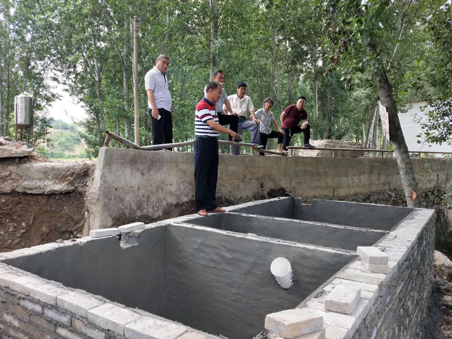 图片3