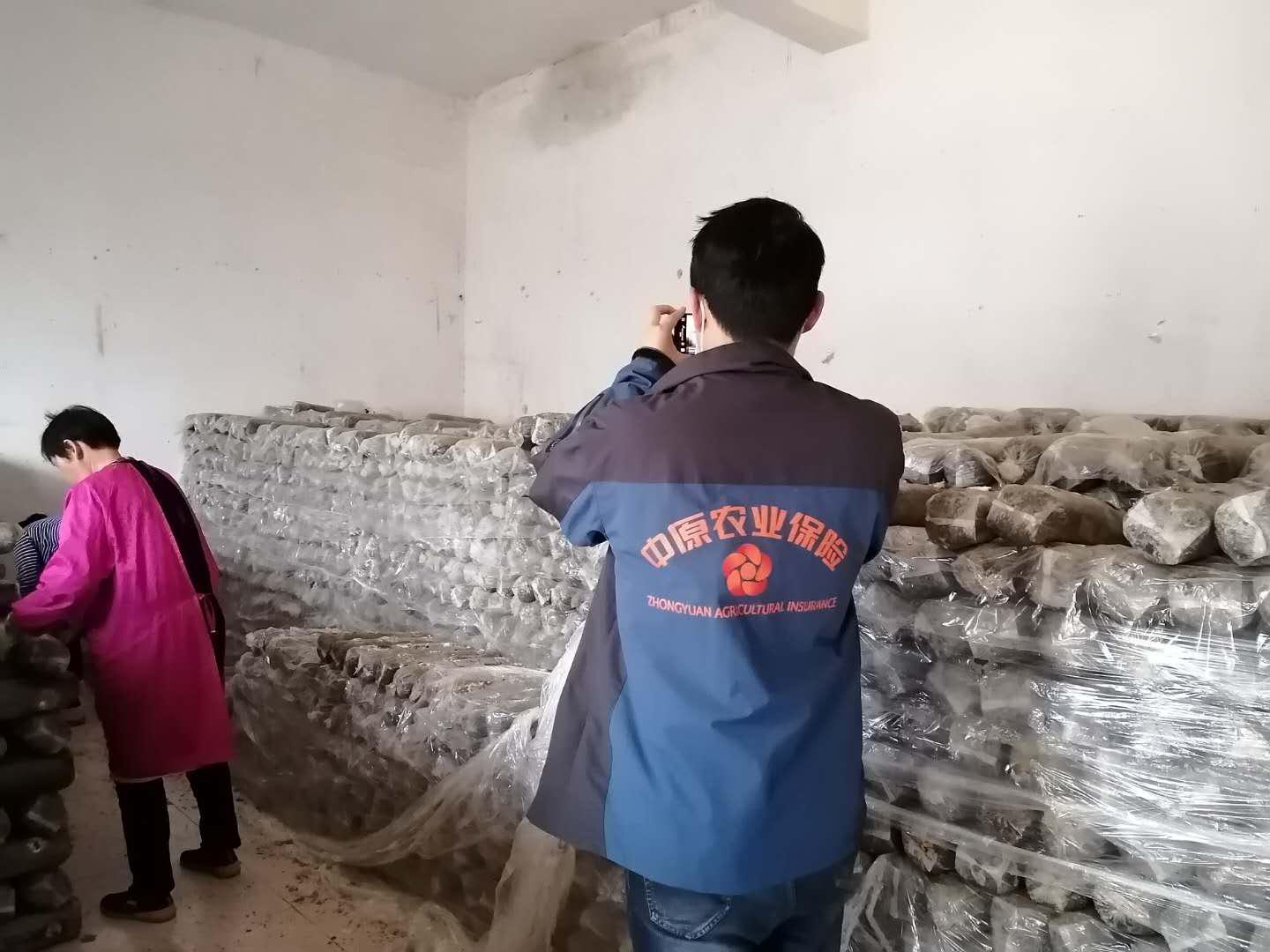 图片2