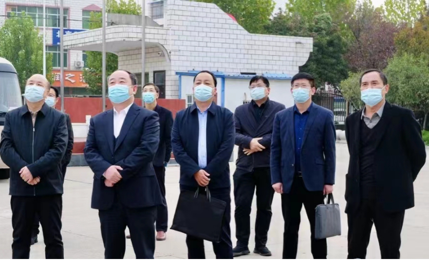 图片7