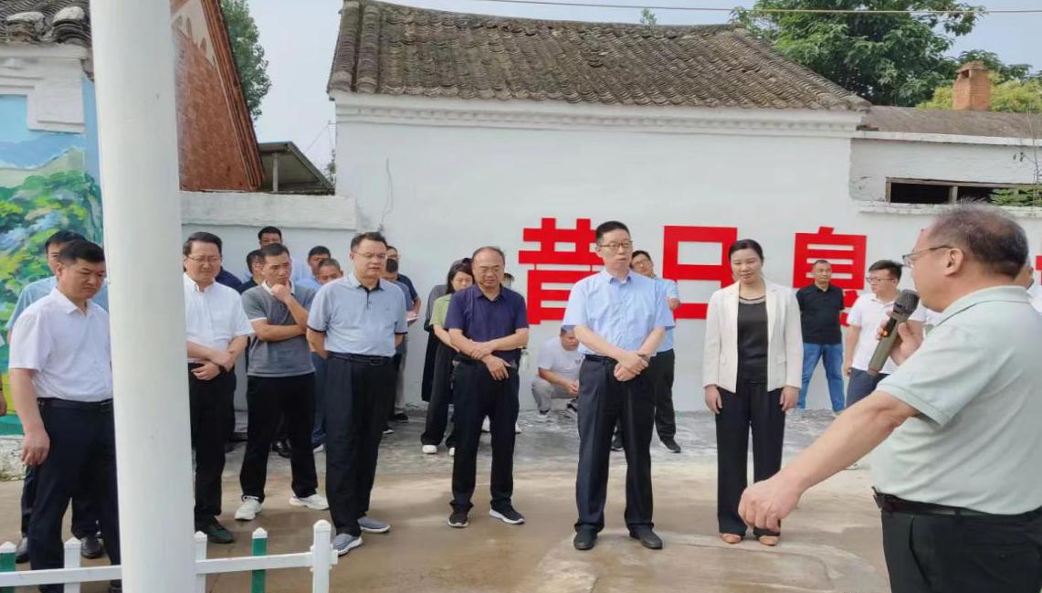 图片8