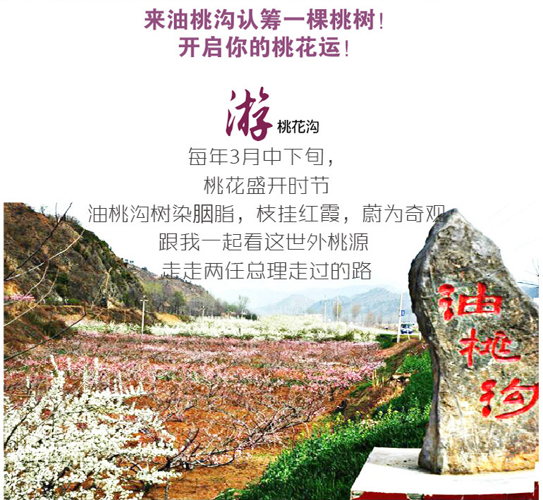 106.jpg